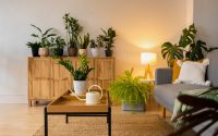 Decoração Sustentável: Como Escolher Produtos que Beneficiam a Casa e o Meio Ambiente